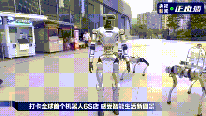 藏不住啦！跨省双向奔赴！豪华抽奖礼包已就位→
