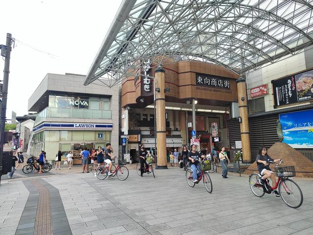因为鹿，我爱上了奈良