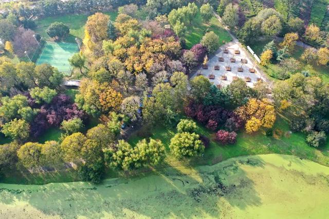 无需滤镜的温县，是这样的→