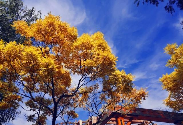 和老伴去甘肃兰州住了一个月。我实话实说：跟想象中完全不一样～