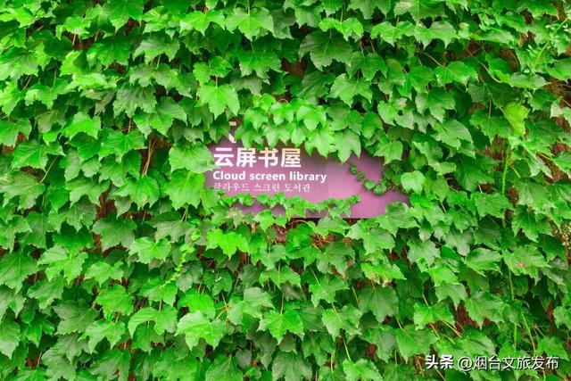 【乐游烟台】登高首选！烟台这个宝藏秘境，风景绝美！