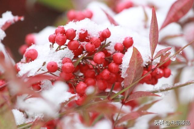 穷游，为何成为时代新宠