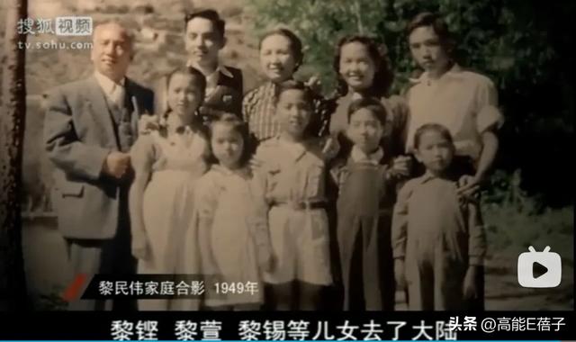 黎姿的珠光宝气，黎宣的绿叶人生：传奇电影世家的香江旧梦（上）
