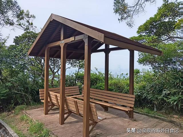 【旅游攻略】香港太平山：怎么爬上去？哪里可以免费拍维港全景？