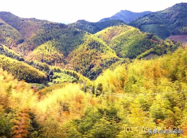 五山行记:清波里的新生