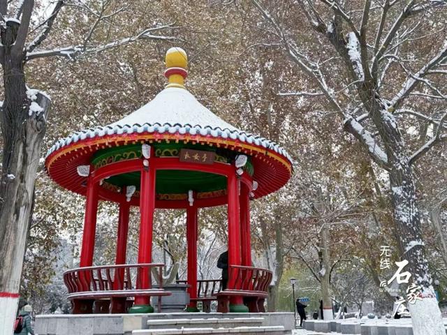 收好这份石家庄“雪景打卡地图”！走起→