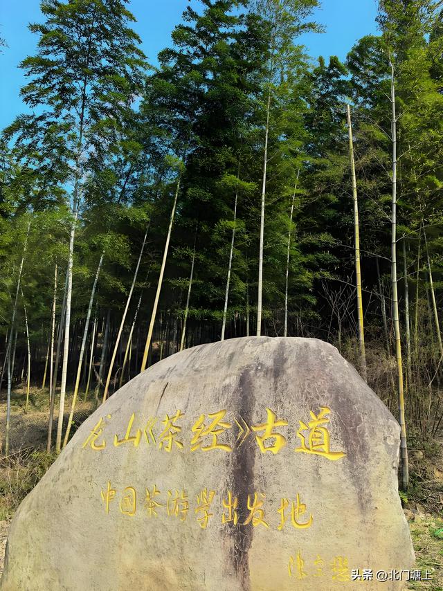 自然与人文交织，这个小山村靠“贡茶文化”走出了特色发展之路