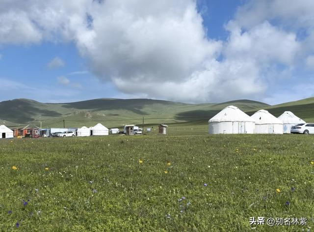 自驾新疆，从那拉提经独库公路到达库车，游玩库车大峡谷（7）