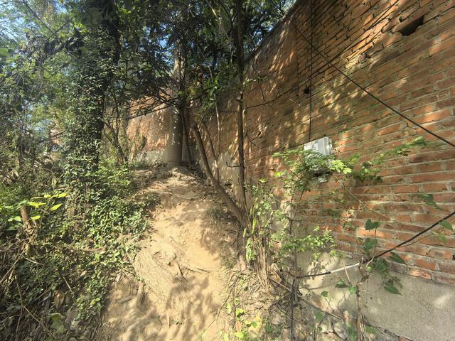 南京幕府山郊野徒步