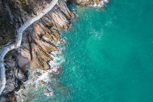 深圳最值得去的6个公园推荐！全部免费，地铁直达，好玩又好拍！