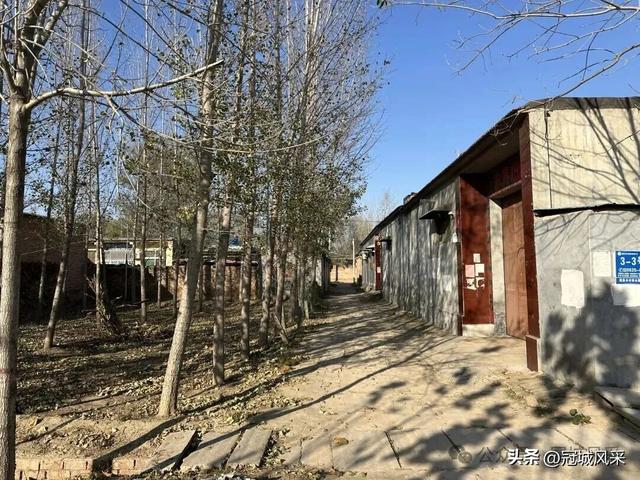 冠县乡韵·贾镇岑庄