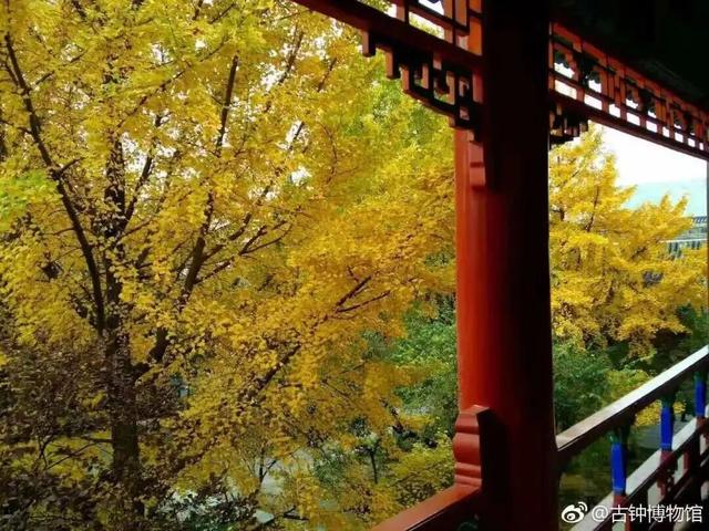 博物馆秋之旅丨博物馆限定！这些古建里的绝美秋色不可错过——