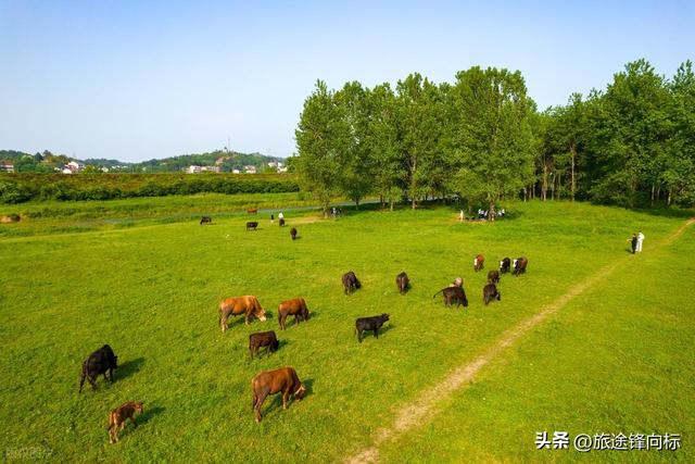 8 月要去，国内这 10 个地方美到窒息，再不去就等明年