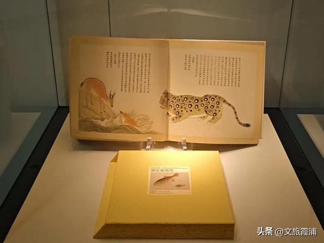 霞浦元素闪耀金鸡！《深海奇遇》携《海错图》IP入围金鸡影展，510公里海岸线藏着世界级美景