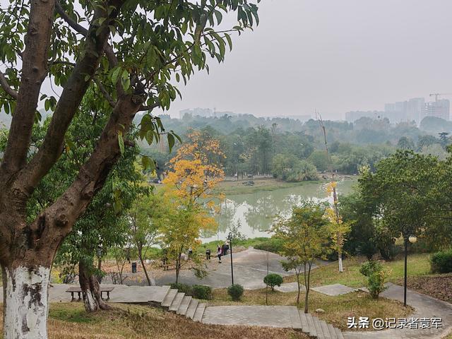 凤栖绿道，湖畔闲游——成都金牛区凤凰山公园游记