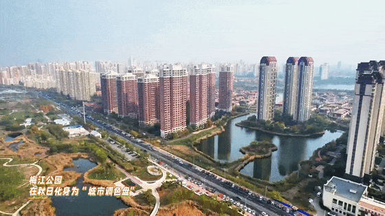 秋之丰硕・秋天没去津门湖，你错过了什么？