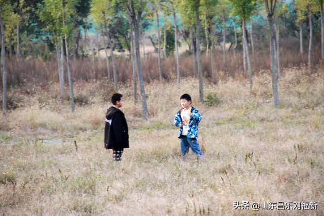 一河两路东端的烧烤场一带暮秋景色