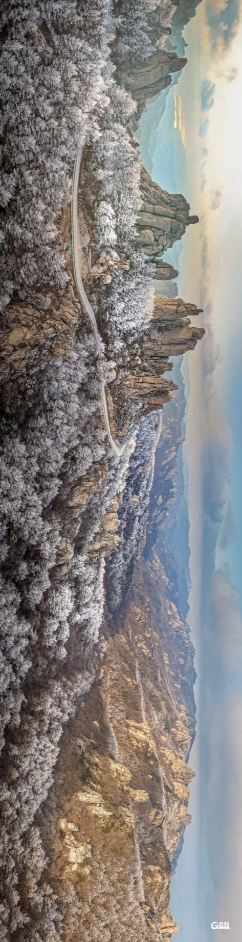 崂山迎来雾凇：石与松的素色禅意