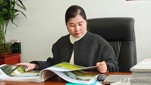 我在雄安建公园