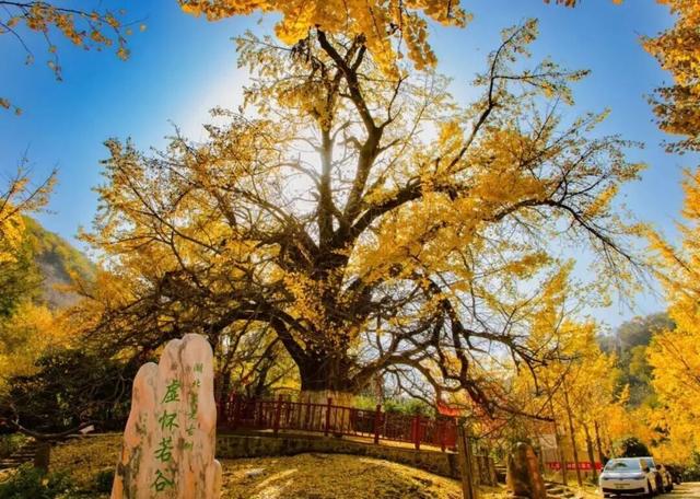 文化中国行 | 小雪：天冷了，给生活上个暖色