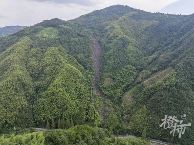 突然火了！有杭州人说，“我家四五代人都住在这里，根本就不知道......”