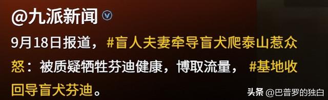 爬泰山的作死夫妻被制裁！导盲犬被收回，身份被扒，家里还有一只