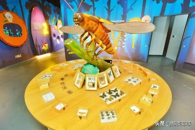成都天台山5A级旅游景区打卡领奖牌开始啦！gogogo,马上冲！