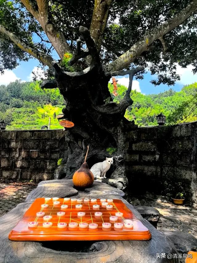 莲华山居隐诗意