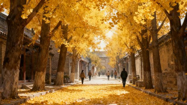 半壁街秋韵：银杏叶里的圣城文脉