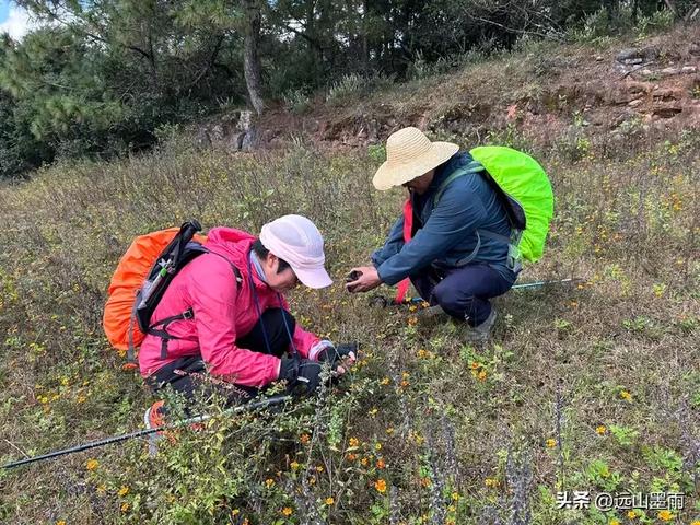 周末徒步,走昆明嵩明的灵云山,游法界寺、走森林步道,休闲惬意