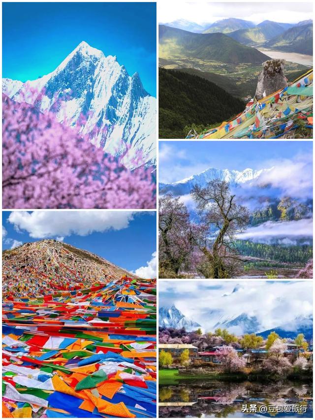西藏林芝深度游：邂逅雪山桃花与森林的浪漫