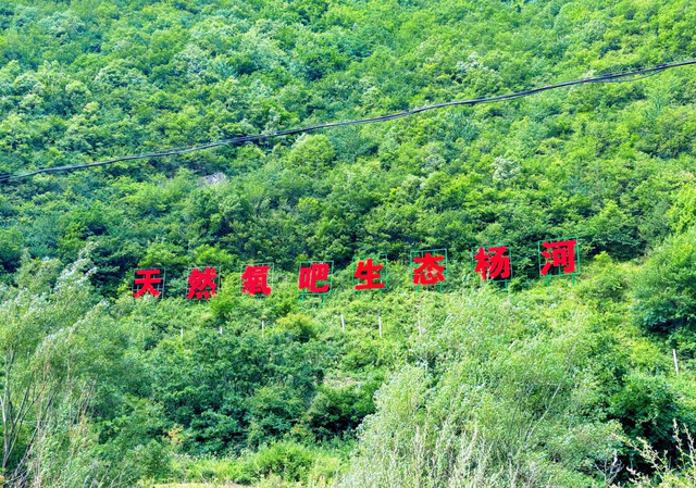 武山县杨河镇：山水酿清凉 云溪享夏梦（组图）