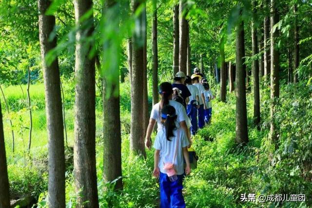 国庆去哪儿？草原金秋、潮汕舌尖味、熊猫守护……4条错峰优选线路，安排！