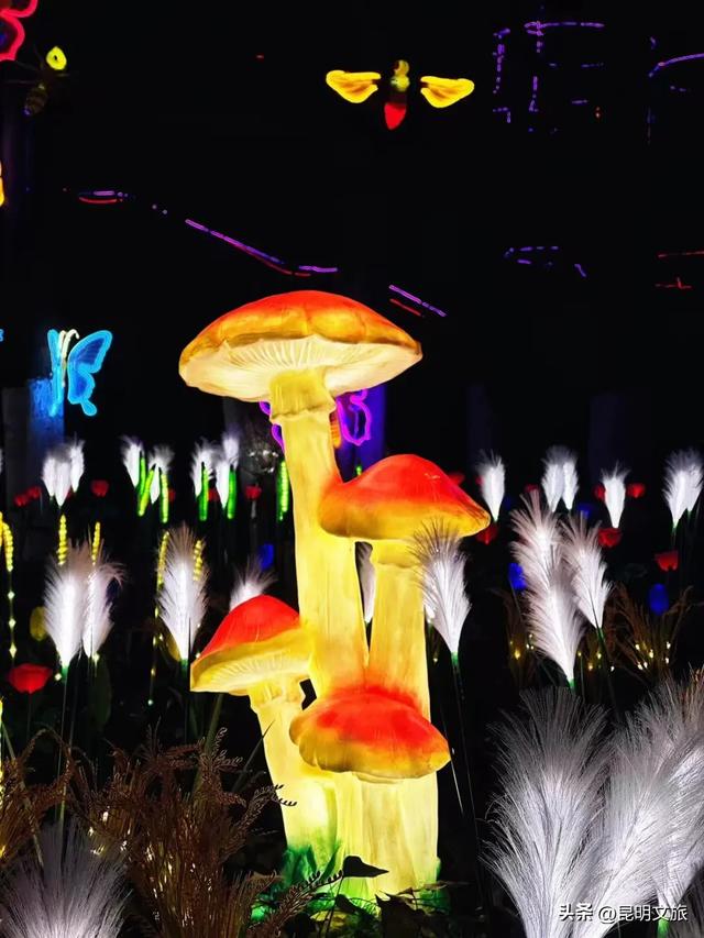 世博园大型灯展！最新剧透来啦