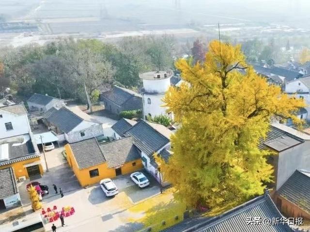 读诗词游水韵江苏丨在诗韵流淌的历史文化名城镇江探寻“诗和远方”