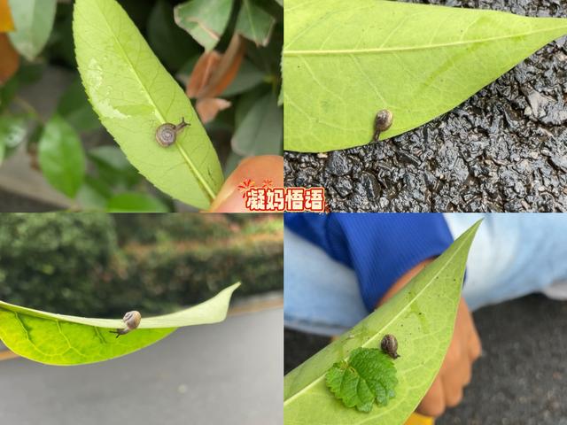 公园遛娃新思路，3个简单“小玩法”，孩子享快乐、提能力两不误