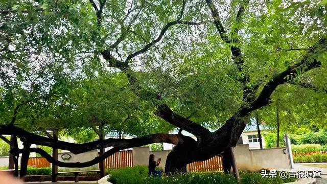 取景庆岭镇：按下快门，收了一季青山绿水