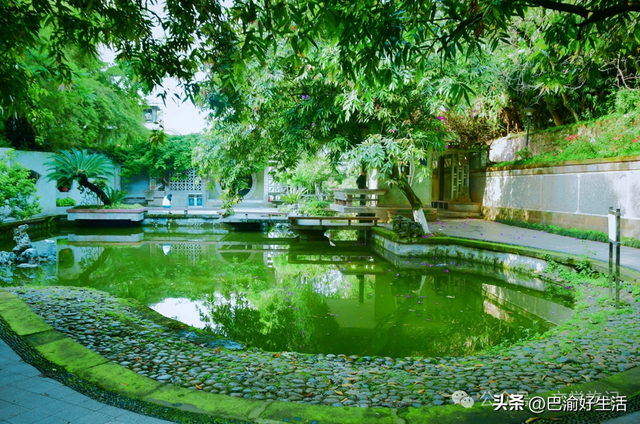 北碚公园竟是"大熊猫"命名地，原来藏着这么多秘密