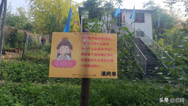 赏网红银杏树，登秦岭月亮沟
