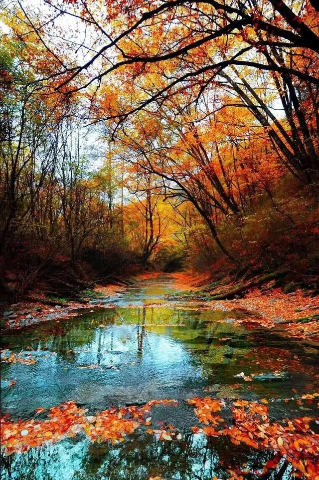 广元旺苍，倒也不必美得如此满分！！！