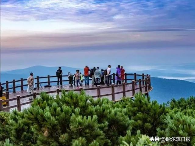 【花样“尔滨”】花海与清凉完美融合！凤凰山避暑游，这些人门票半价——