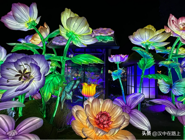 汉中天台山森林奇幻夜即将开启!一键get夏夜清凉与光影狂欢