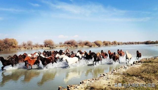 伊犁秋色漫游指南来啦！三条主题线路，开启你的如画旅程