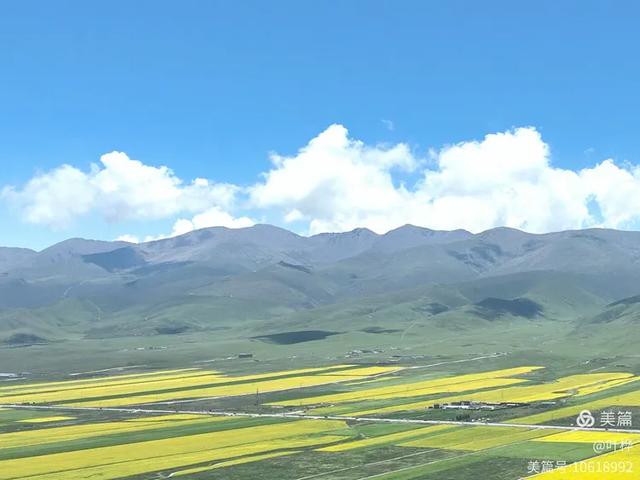 寄情青海湖 图文/叶桦