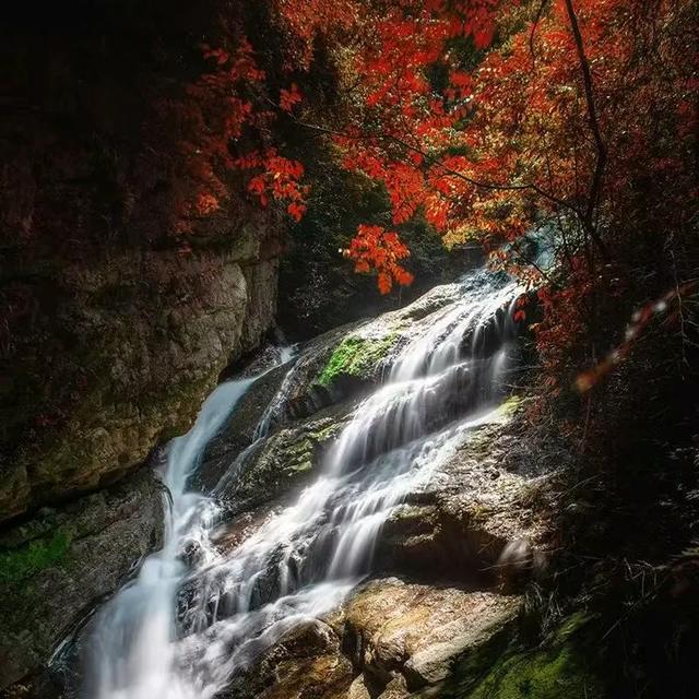 秋冬遛娃“药”新鲜!能吃能玩还能“养”,这条游玩路线一站式拿捏