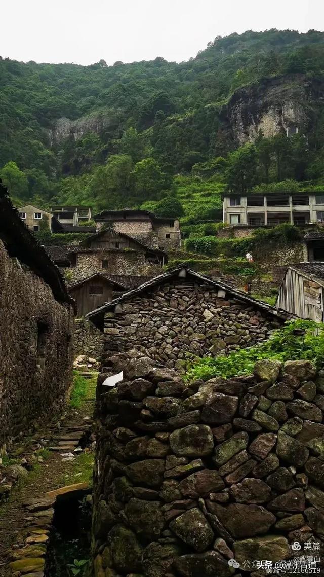 这座温州最具桃源的古村，避暑佳地，你可去过？