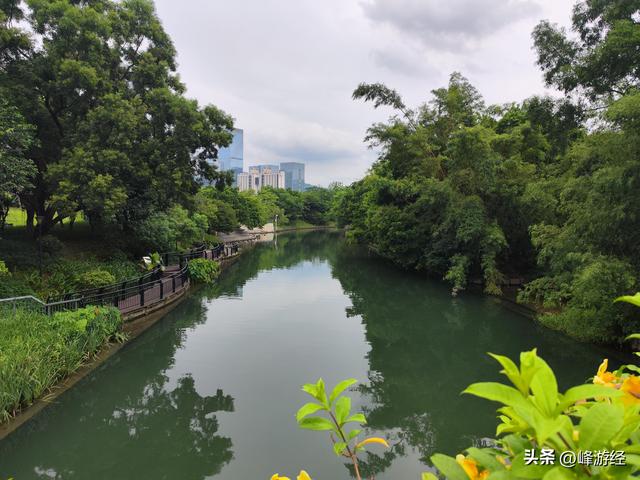 徒步穿越深圳中心公园，超一线城市的绿肺