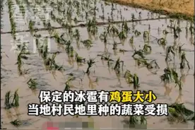 离谱！保定清苑区遭遇罕见冰雹肆虐，有电力铁塔倾倒，评论区炸锅图片