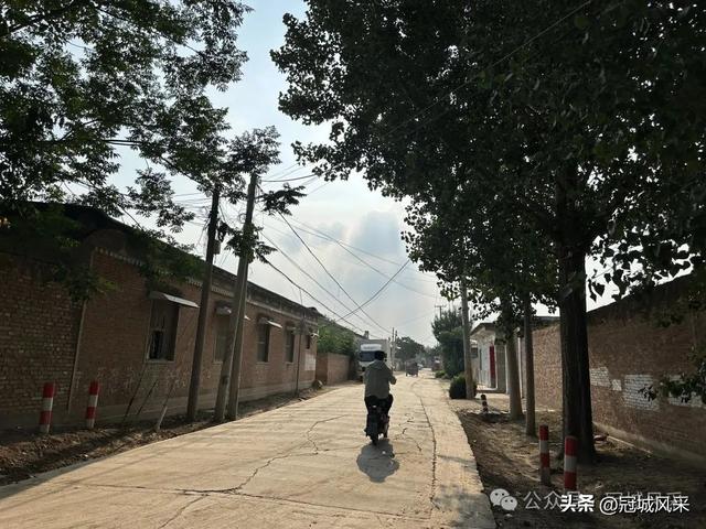 冠县乡韵·辛集镇丁刘八寨