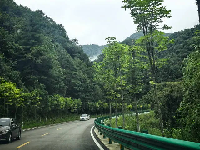 情人谷牛奶湖高山草甸：蜀道中“秦岭秘境”变成了一路的网红景点